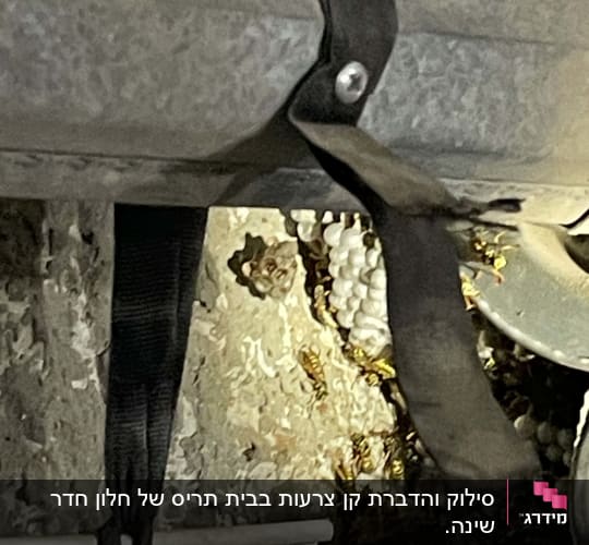 קיני צרעות על קיר עם רצועות מתכת